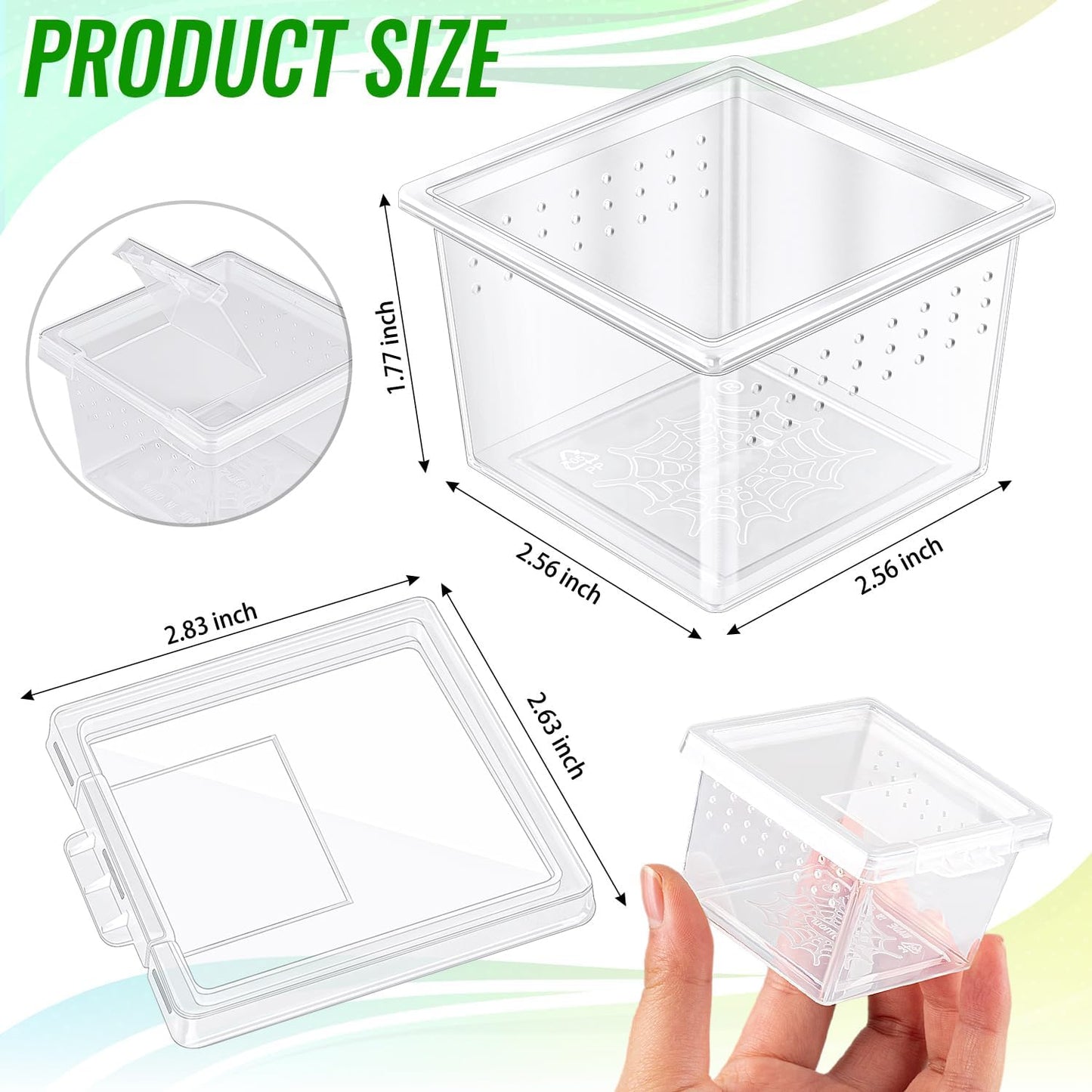 Jumping Spider Feeder Starter Kit